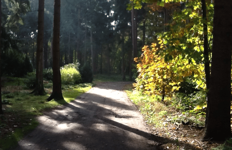 Natuurhuisje in Eeserveen