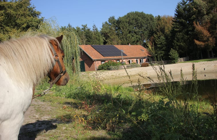 Natuurhuisje in Poppel Ravels