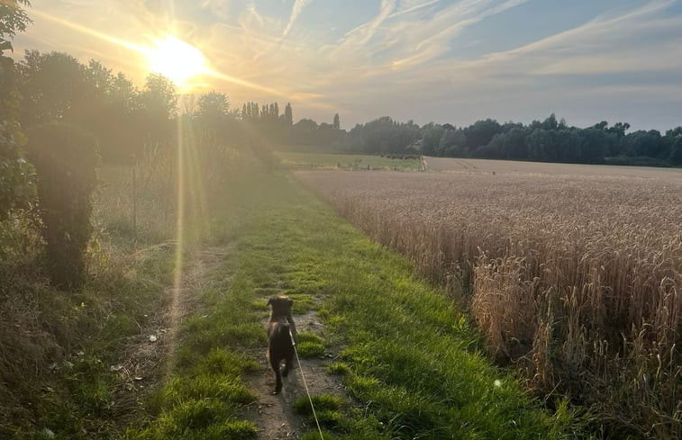 Natuurhuisje in Horebeke