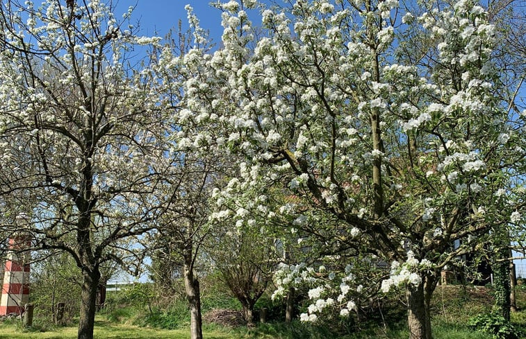 Natuurhuisje in Geersdijk