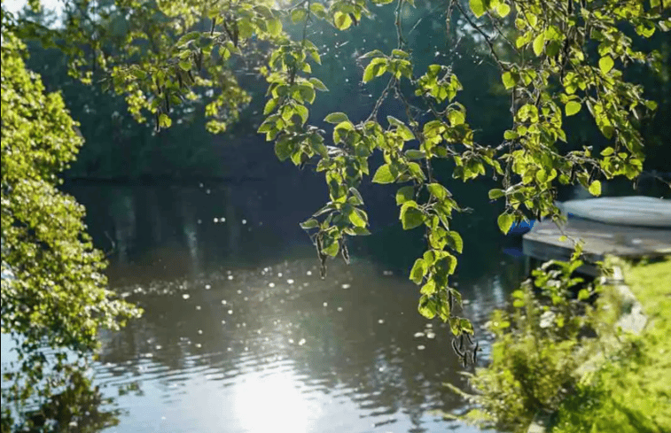 Natuurhuisje in Midlaren