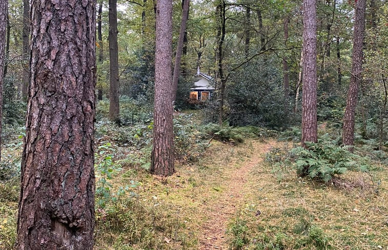 Natuurhuisje in Norg