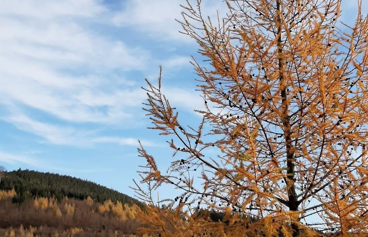 Natuurhuisje in Schmallenberg-Dorlar