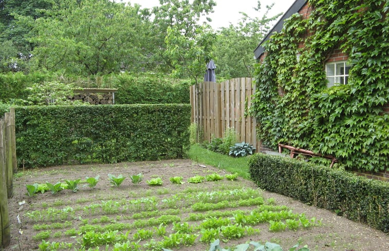 Natuurhuisje in Exloo