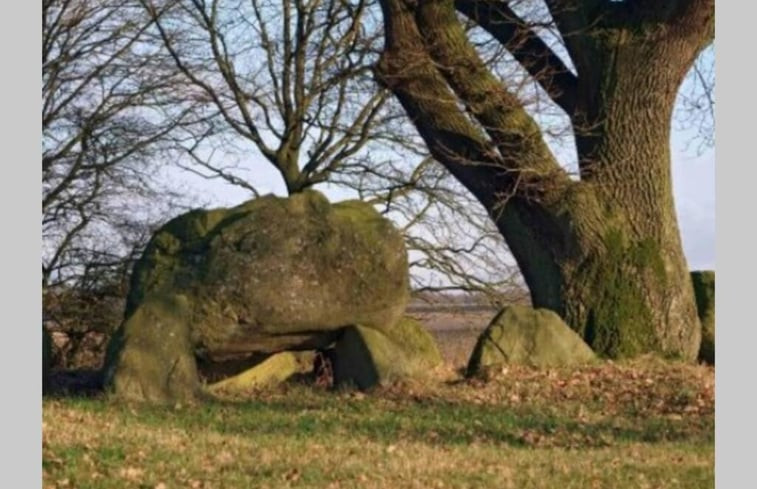 Natuurhuisje in Coevorden