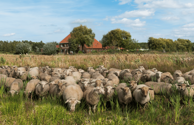 Natuurhuisje in Roermond