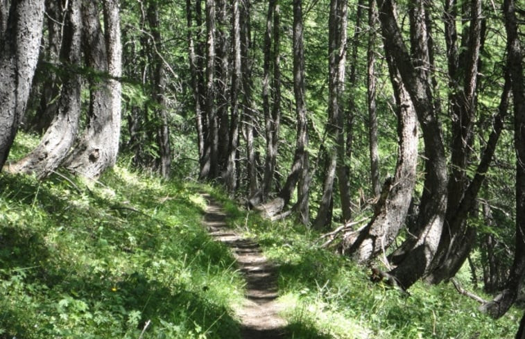 Natuurhuisje in Allos