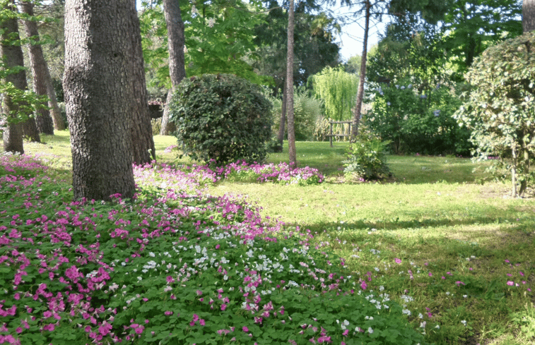 Natuurhuisje in castiglione del lago