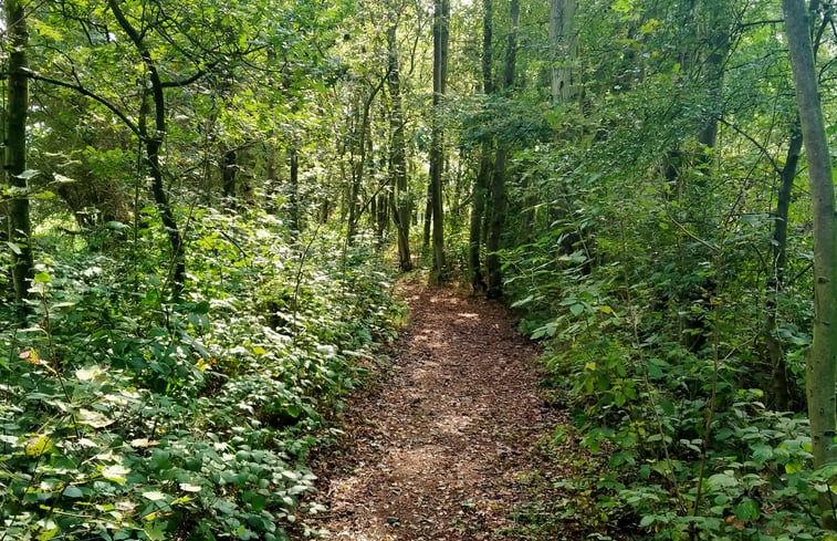 Natuurhuisje in Kollumerzwaag