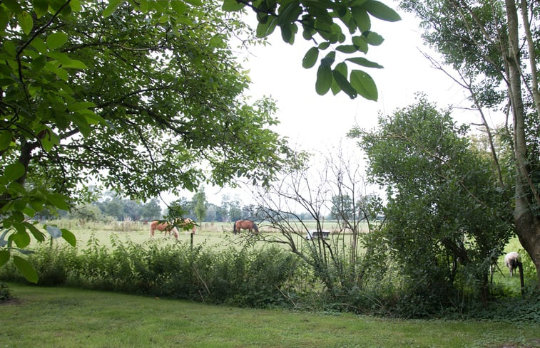 Natuurhuisje in Nijbroek