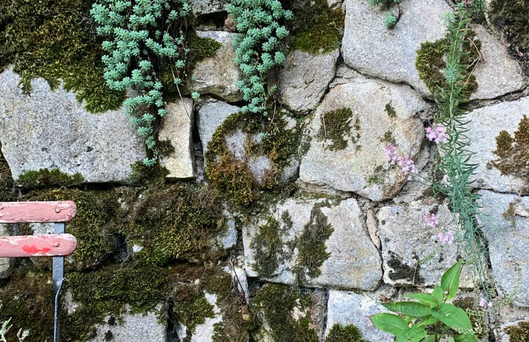 Natuurhuisje in Saint Silvain-Bellegarde