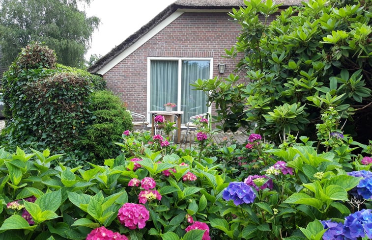 Natuurhuisje in Dwingeloo