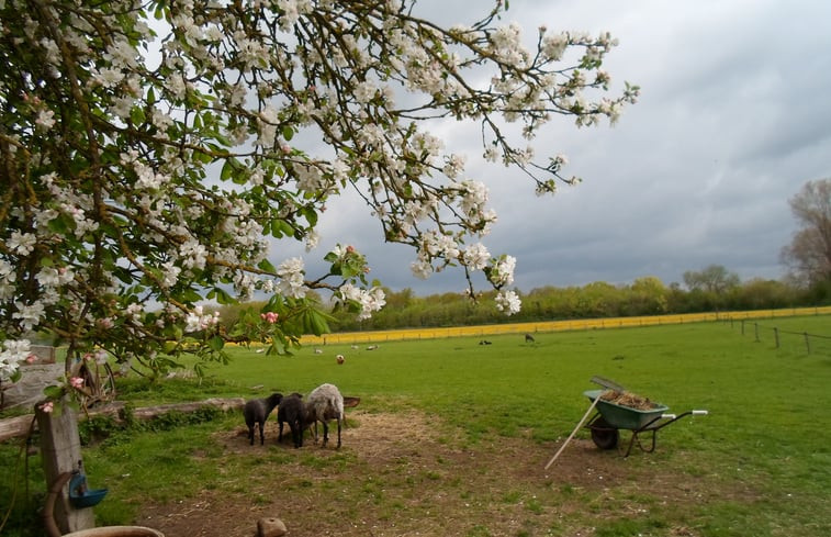 Natuurhuisje in Zalk