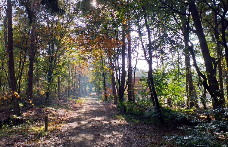 Natuurhuisje in Groesbeek