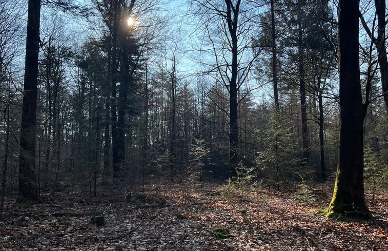 Natuurhuisje in Ermelo