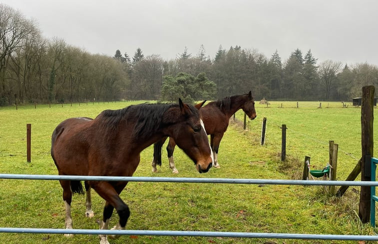 Natuurhuisje in Lunteren