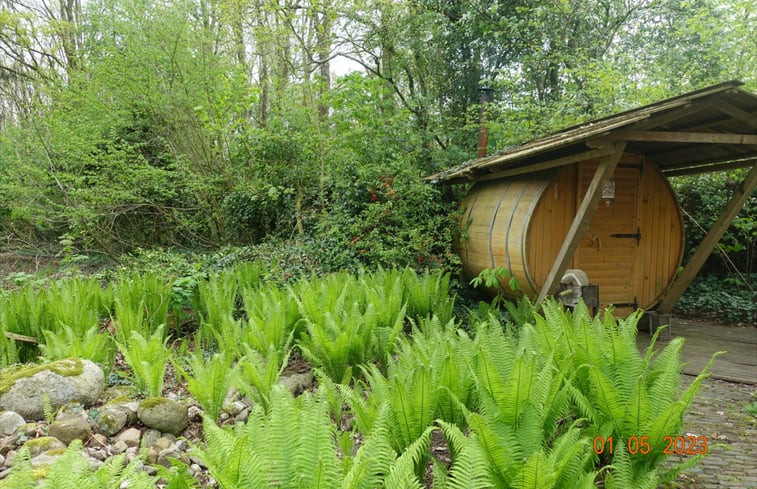 Natuurhuisje in Zuidwolde