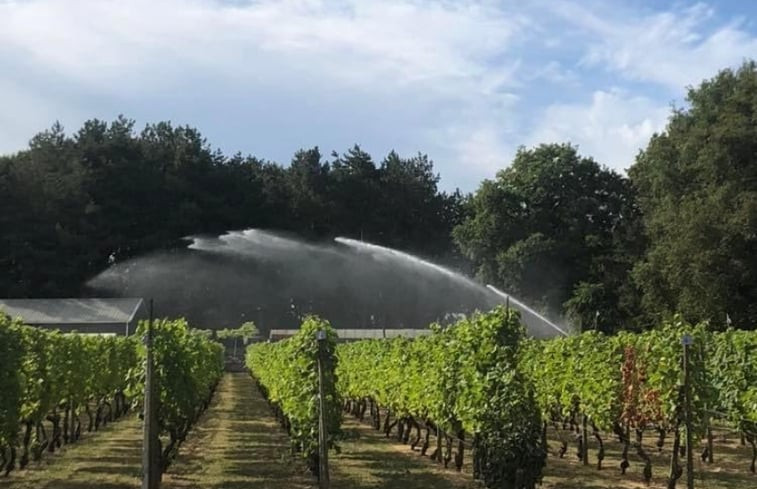 Natuurhuisje in Etten-Leur