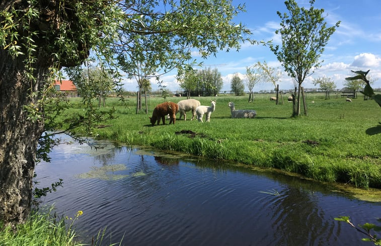 Natuurhuisje in Alphen aan den Rijn