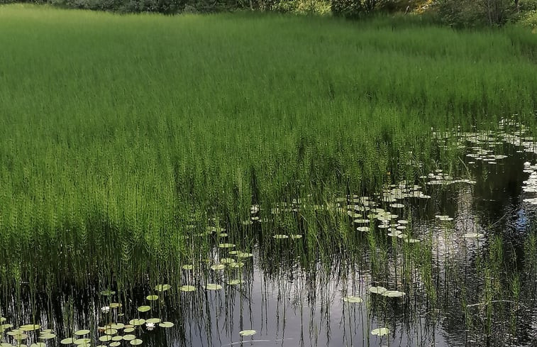 Natuurhuisje in Bispgården