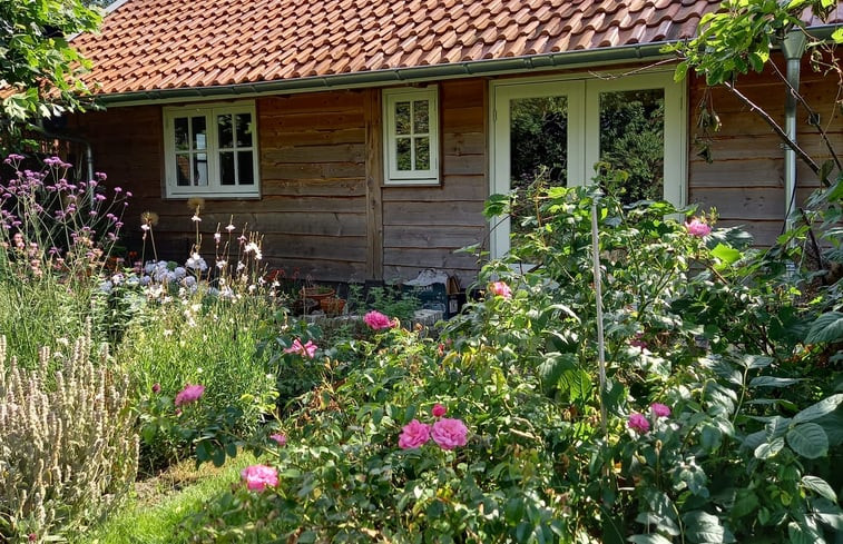 Natuurhuisje in Haulerwijk