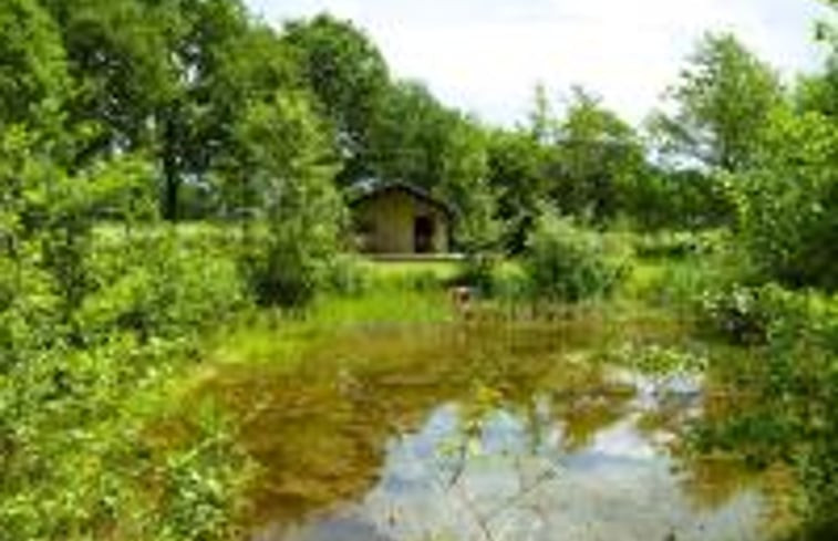 Natuurhuisje in Emst