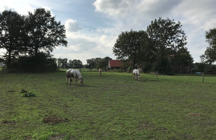 Natuurhuisje in Beilen