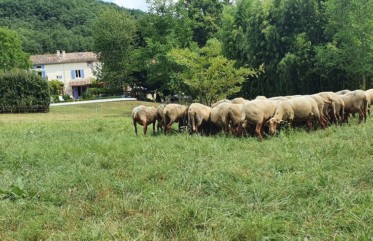 Natuurhuisje in Saint-Benoit