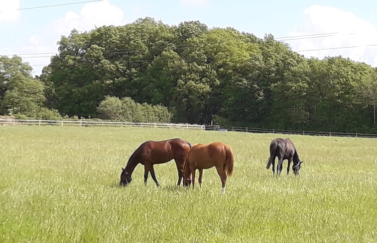 Natuurhuisje in Broc