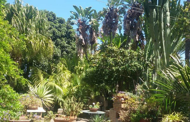 Natuurhuisje in Ricadi - Capo Vaticano