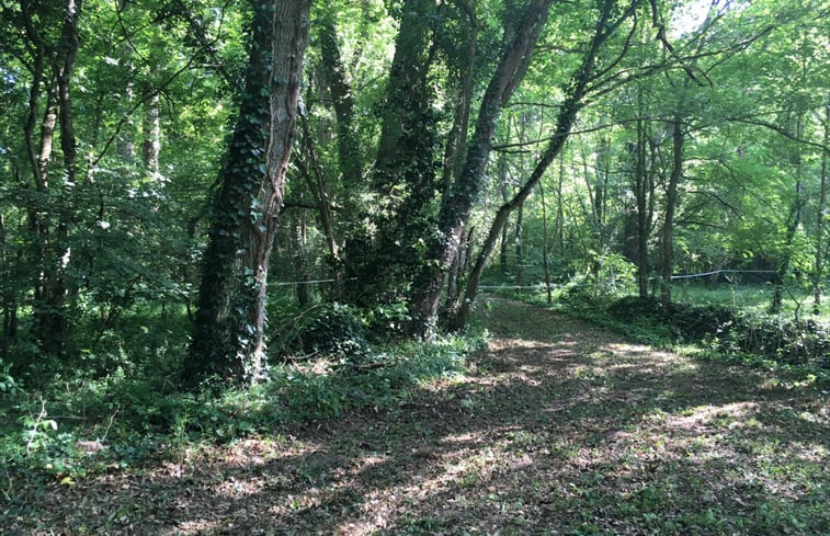 Natuurhuisje in CIZAY LA MADELEINE