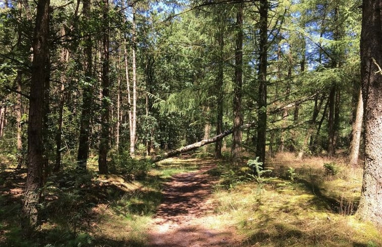 Natuurhuisje in Eeserveen