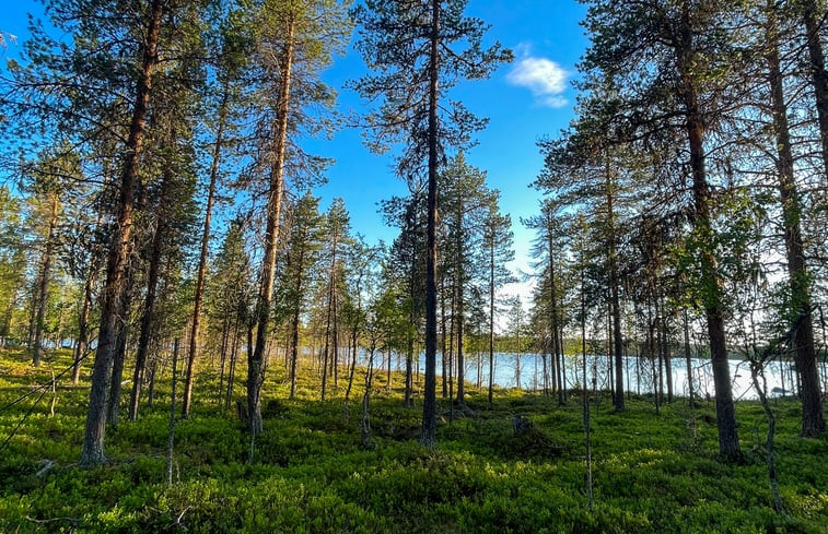 Natuurhuisje in mellanstrom