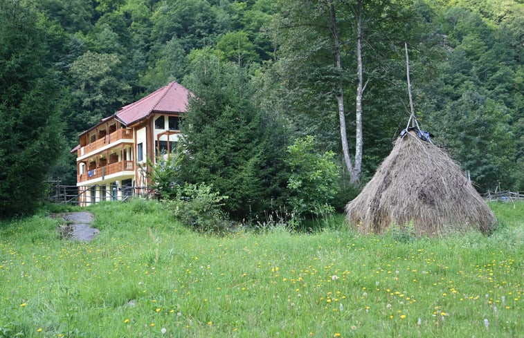 Natuurhuisje in Tara Hategului, near Retezat National Park