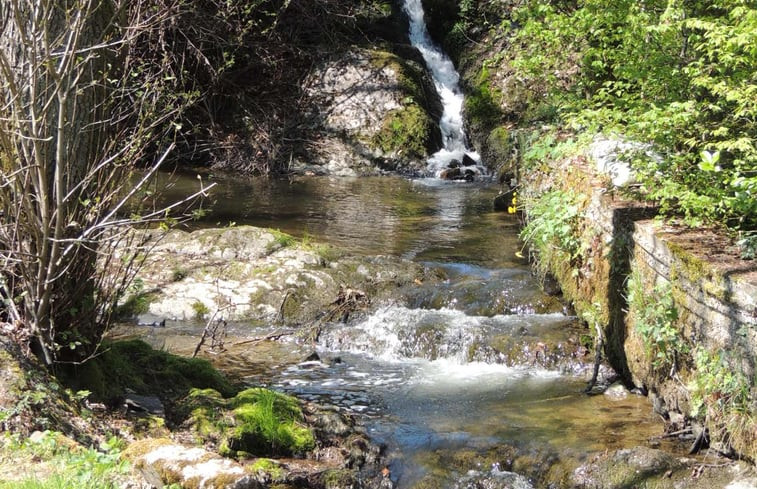 Natuurhuisje in La roche-en-ardenne