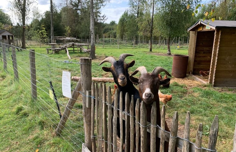 Natuurhuisje in Roosendaal