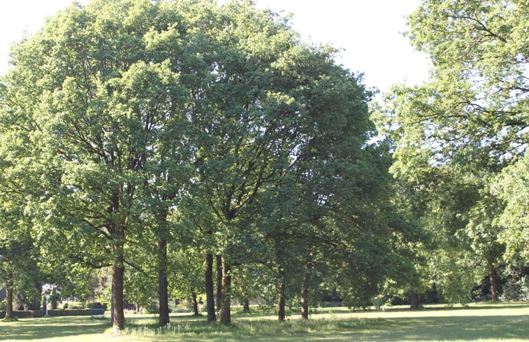 Natuurhuisje in Appelscha