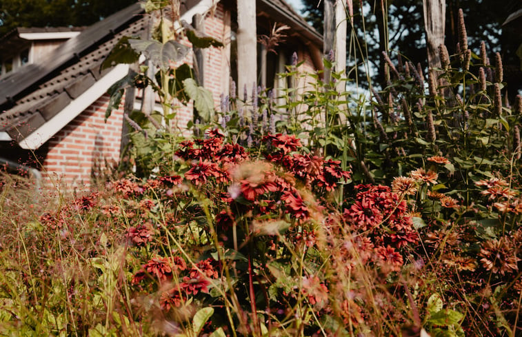 Natuurhuisje in Zelhem