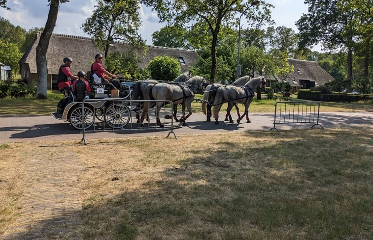 Natuurhuisje in Diever