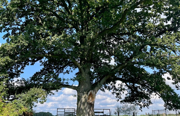 Natuurhuisje in Fernelmont