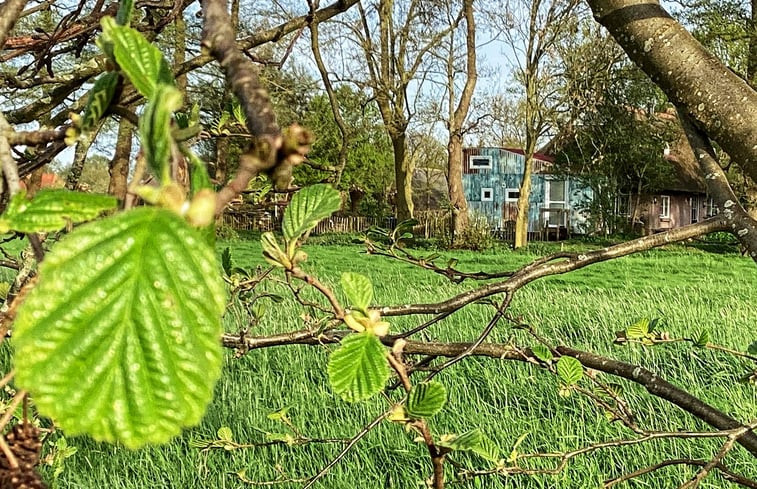 Natuurhuisje in Doornspijk