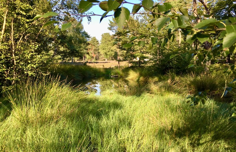 Natuurhuisje in Epe