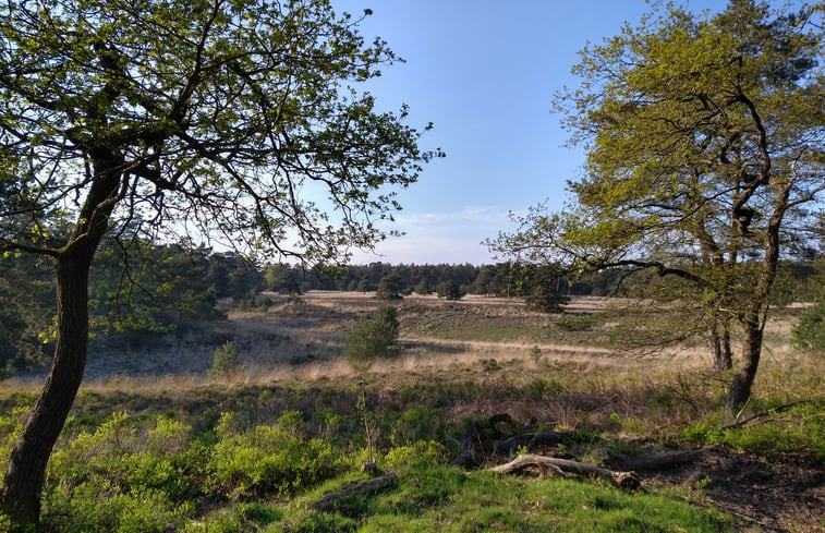 Natuurhuisje in Emst