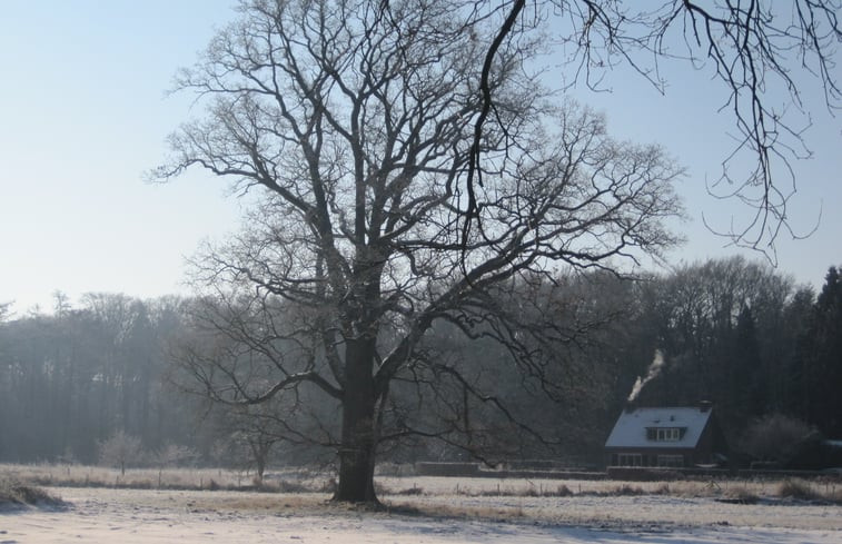 Natuurhuisje in Westendorp