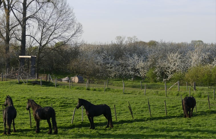 Natuurhuisje in Eijsden-Margaten