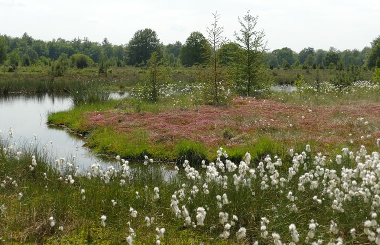 Natuurhuisje in Elp