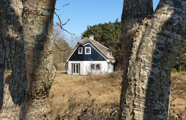 Natuurhuisje in De Cocksdorp