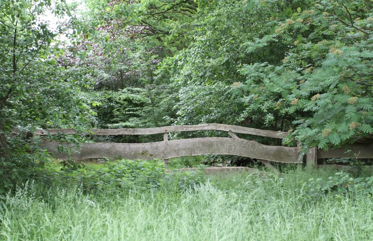 Natuurhuisje in Uffelte