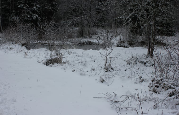 Natuurhuisje in Willerzie