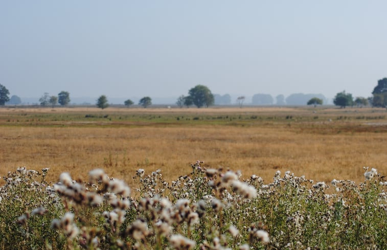 Natuurhuisje in Ruinen